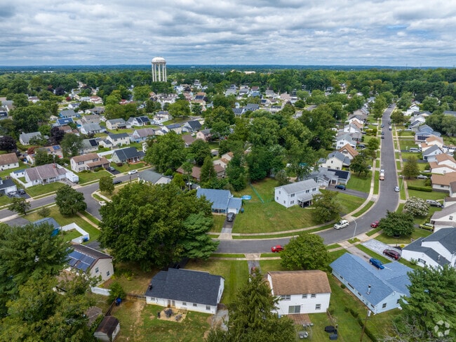 Beautiful trees fill the neighborhoods of Burlington County.