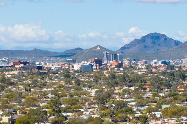 Palo Verde is not far from downtown Tucson.