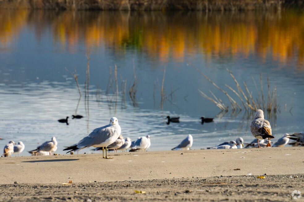 CP_Lakeland_Village_1025360_P2_022525_TG_v1