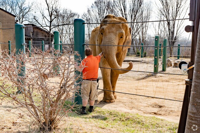 The Louisville Zoo's elephants will soon move from Poplar Level to a sanctuary in Tennessee.