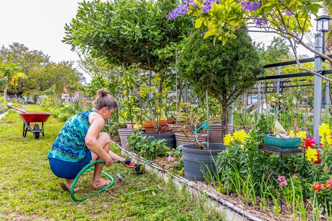 If you enjoy gardening you can get a spot in the Azalea community garden.