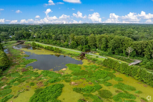 South Tallahassee boasts lush green spaces, myriad public amenities, and a sense of community.