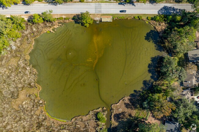 The beautiful clear waters of the mash lands surrounding Moss Creek are unique to the area.