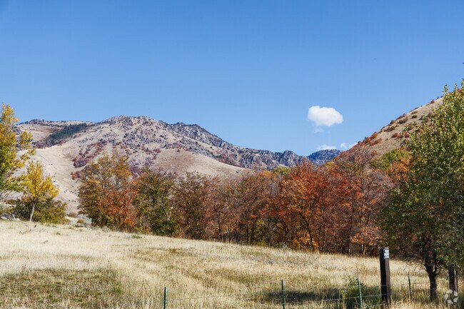 From early morning on a forest trail to star-filled nights far from city lights, the Uinta Wasatch Cache National Forest invites you to disconnect, explore, and renew.
