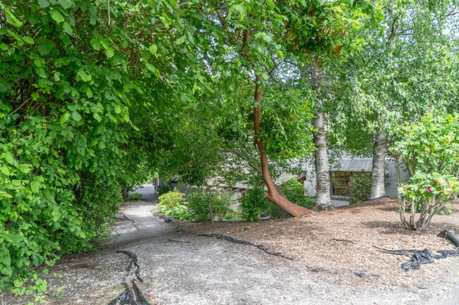 Explorations Academy walking path
