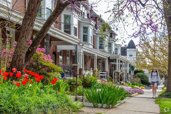 College Park is a pedestrian friendly neighborhood with beautiful landscaping seen throughout.