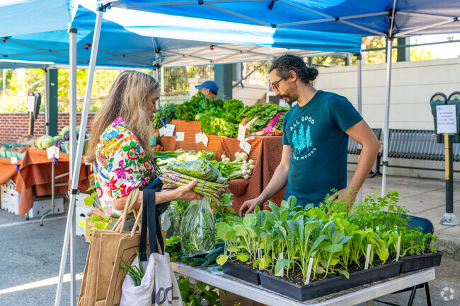 The Narberth farmers market features fresh produce from Honeybrook Harvest Collective.
