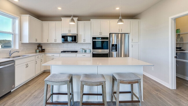 1741 Oak Creek Pass, Chaska, MN 55318 - photo 4