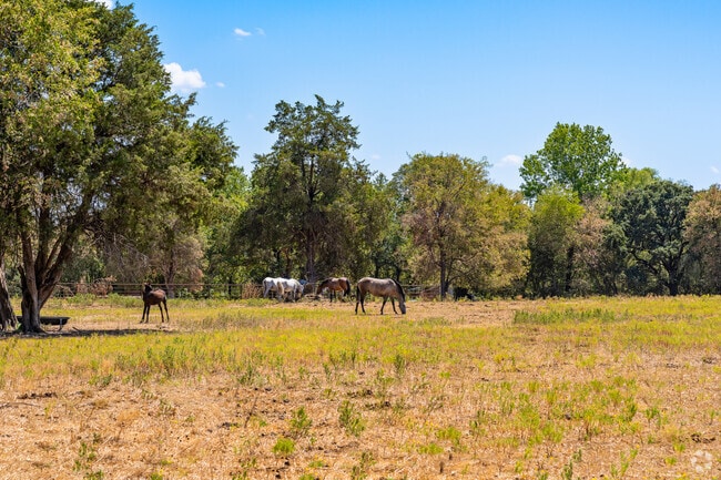 Some properties in Hutchins feature several acres, allowing horses to roam free.