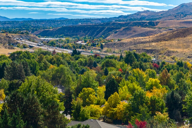 Mogul has an excellent Fall season where the aspens and oak trees light up in color.