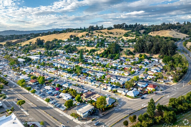 Mission-Foothill neighborhood blends a hilly and quiet residential landscape.