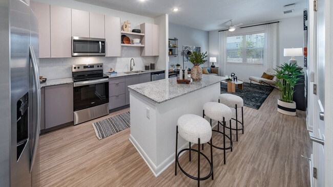 Allora  River Ridge, New Port Richey, FL - photo 7