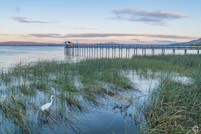Birds and wildlife gather along Lucerne’s Clear Lake shoreline year-round.