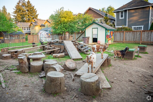 Two of the Goats in Tucker Maxon Goat Park in the Reed Neighborhood.