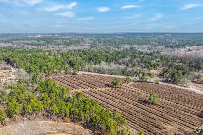 Residents can visit farms offering fresh, hand-picked blueberries in a welcoming, family-friendly setting.