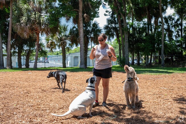 Sunrise Oaks families and their dogs enjoy time at the dog park at Reed Canal Park.