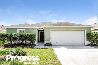 11133 Running Pine Dr, Riverview, FL 33569
