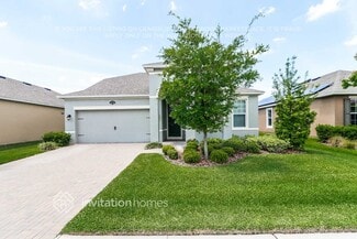1679 Nature View Dr, Lutz, FL 33558