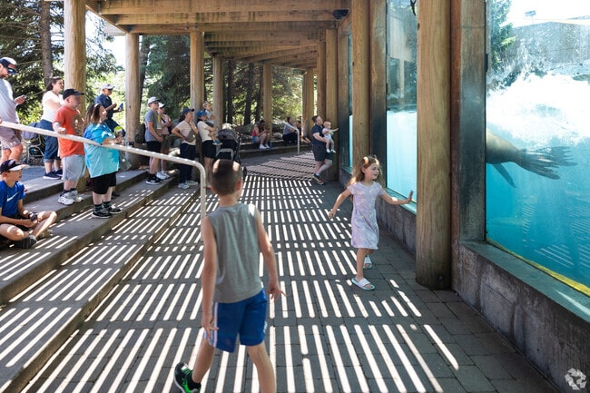 You can get up close and personal with several animals including seals at the Toledo Zoo.