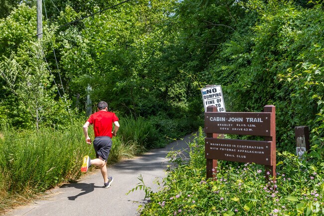 Many runners and cyclists frequent the Cabin John Trail for its stunning views of nature.