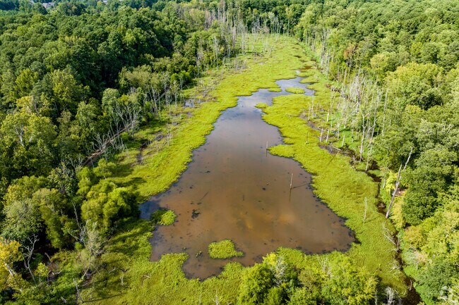 Sandy Green Park supports a wetlands restoration project.