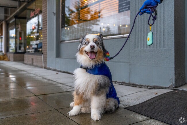 Join the pet-friendly community of North Creek.