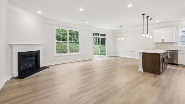 3035 Canvasback Way, Indian Trail, NC 28079 - photo 4