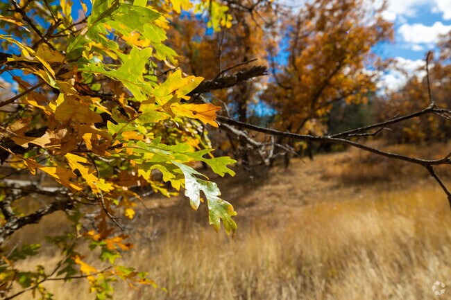 Bell Mountain Ranch is surrounded by natural beauty.