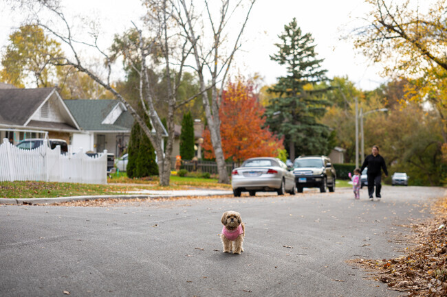 Cornelia Manor is a friendly neighborhood in Waukegan, IL.