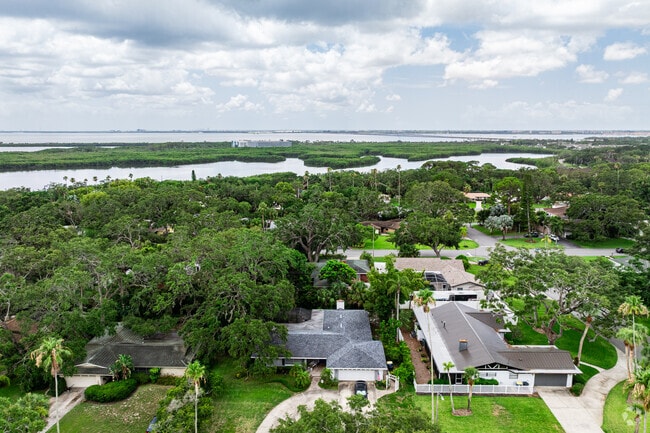 Del Oro Groves is surrounded by nature and looks over Old Tampa Bay.