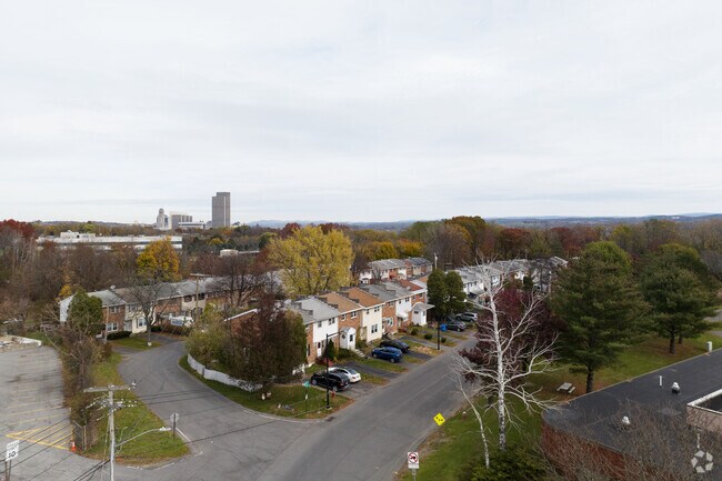 Mount Hope's atmosphere is a perfect blend of vibrancy and local warmth.