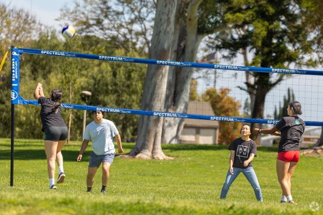 Come to Hicks Canyon Community Park and find a pick up game of volleyball all year long.
