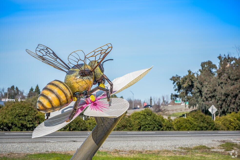 CP_Orland_1025455_P1_022025_FB_v1