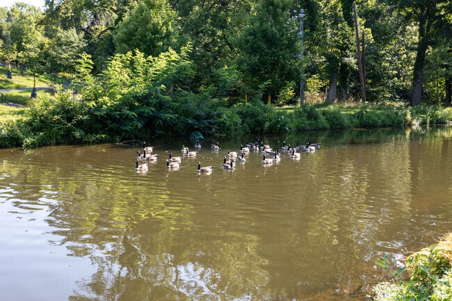 Delaware & Raritan Canal runs in Cadwalader Park in the Cadwalader & Hillcrest neighborhood.