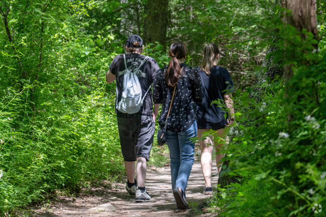 Near Brownell/Giffords Corner, hikers can enjoy miles of trails at Destruction Brook Woods.