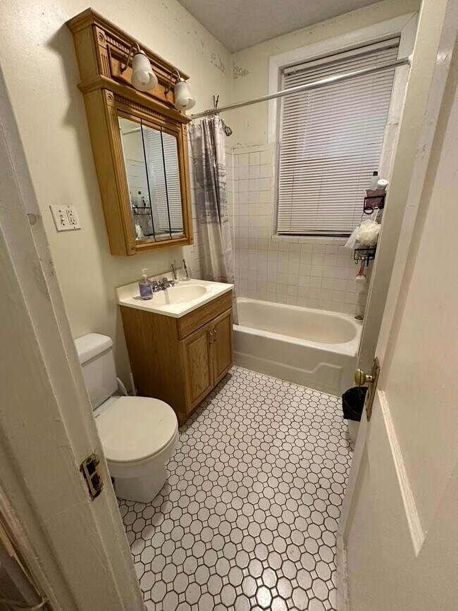 11 Euston St unit 2, Brookline, MA 02446 - photo 6