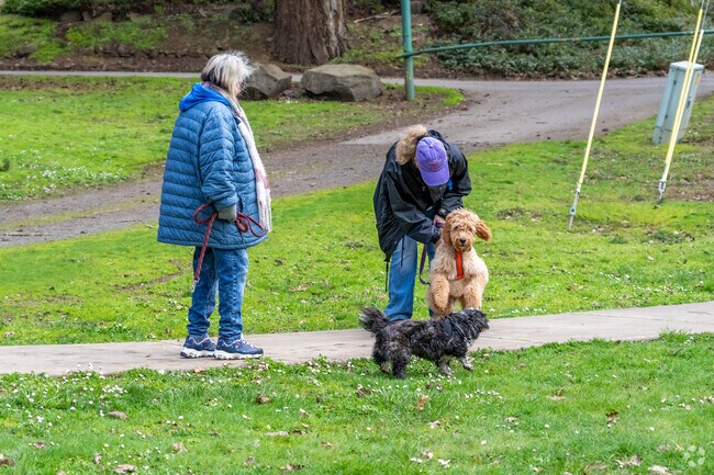 Residents of Holley being their dogs out to play in the neighborhood.
