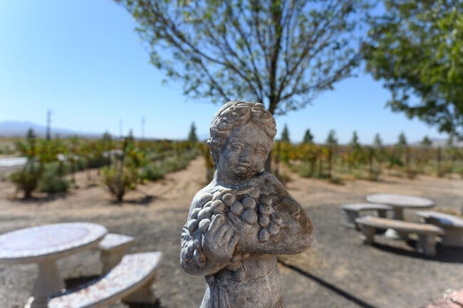 The area surrounding Valle Vista is a prolific wine region.