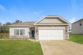 254 Tally Mdw Ct, Lexington, NC 27295