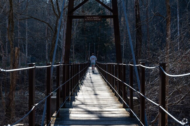 Walk across the bridge at Patapsco State Park in Arbutus.
