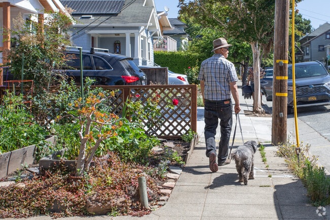 The quiet sidewalks of Shafter are loved by residents and their pups for walking.