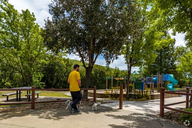 Diablo Vista Park Welcomes Tassajara Dog Owners To Bring Their Furry Friends To Enjoy the Park’s Outdoor Amenities.