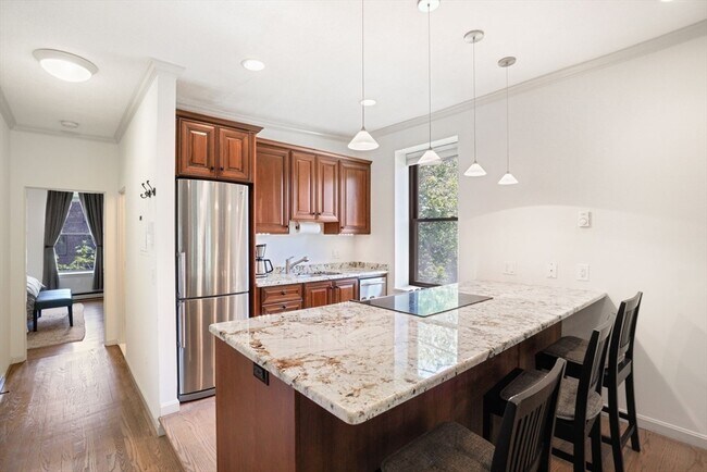 239 W Newton St unit 4, Boston, MA 02116 - photo 3