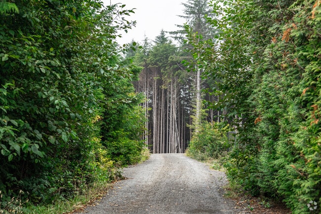 Scenic trails and the smell of pine attract visitors at Seabrook, WA.