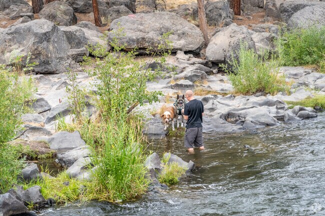 Visitors enjoy a dip in the Deschutes River at Robert Sawyer State Park in Bend.