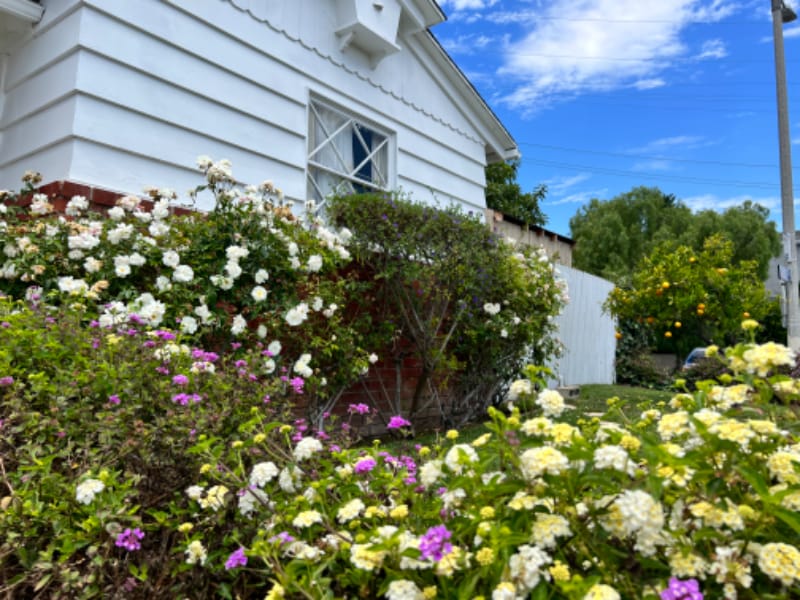 1905 Elanita Dr, San Pedro, CA 90732 - photo 1