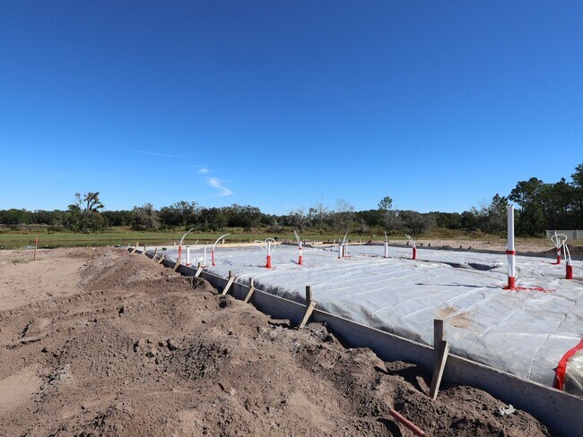 7879 Painted Sky Place, Land O Lakes, FL 34637 - photo 2