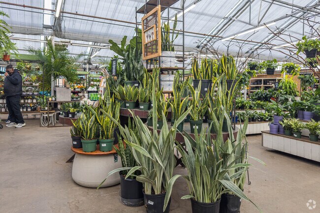 Bachman's garden center has been in business for 140 years and is closeby the Page neighborhood.