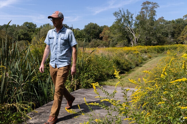 Yantic residents can enjoy the untouched beauty of Lowthorpe Meadow.