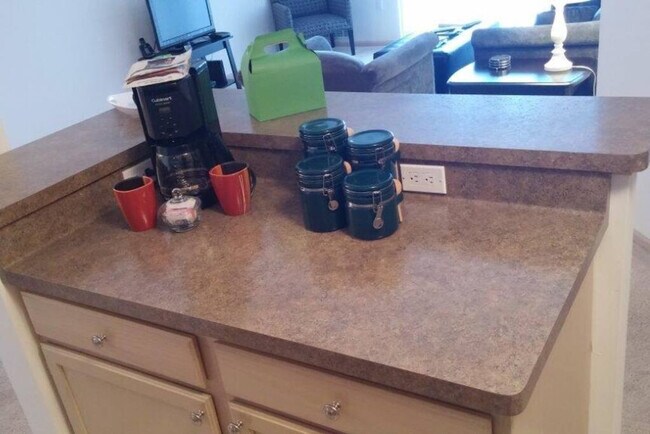 305 Nautilus Dr unit ID1059800P, Madison, WI 53705 - photo 4